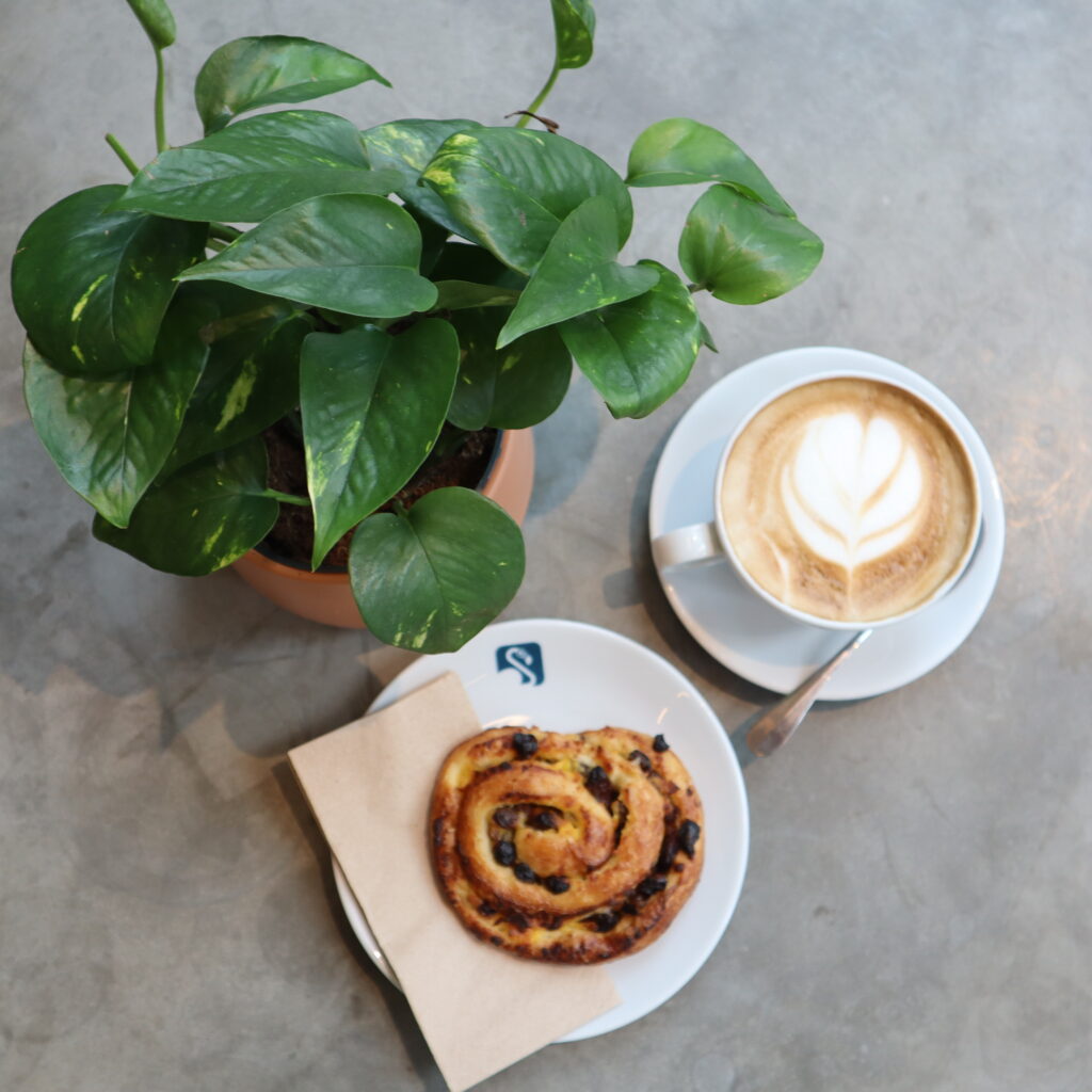 A pictures of a plant, Coffee and Pain au raisin